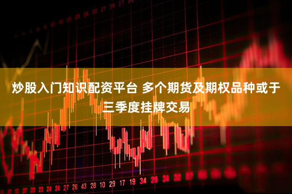 炒股入门知识配资平台 多个期货及期权品种或于三季度挂牌交易