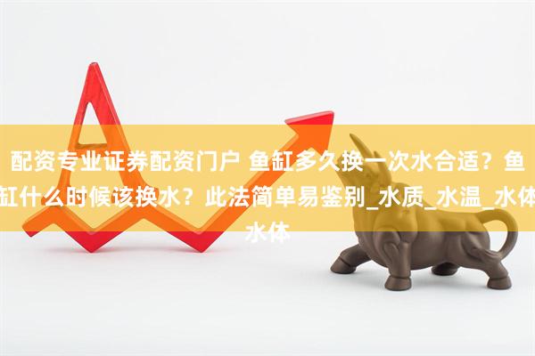 配资专业证券配资门户 鱼缸多久换一次水合适？鱼缸什么时候该换水？此法简单易鉴别_水质_水温_水体