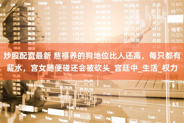 炒股配资最新 慈禧养的狗地位比人还高，每只都有薪水，宫女随便碰还会被砍头_宫廷中_生活_权力