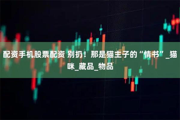配资手机股票配资 别扔！那是猫主子的“情书”_猫咪_藏品_物品