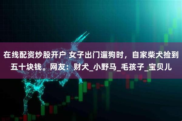 在线配资炒股开户 女子出门遛狗时，自家柴犬捡到五十块钱。网友：财犬_小野马_毛孩子_宝贝儿