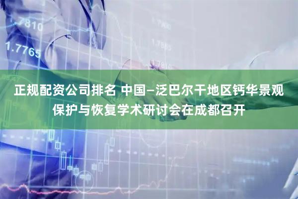 正规配资公司排名 中国—泛巴尔干地区钙华景观保护与恢复学术研讨会在成都召开